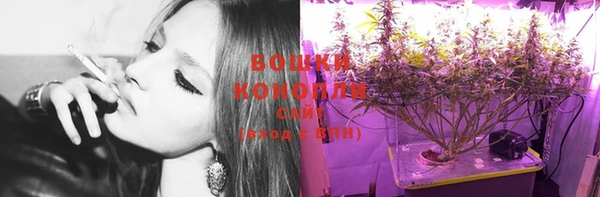 ешки Надым