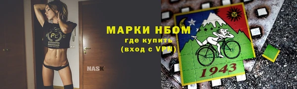 хмурый Арсеньев