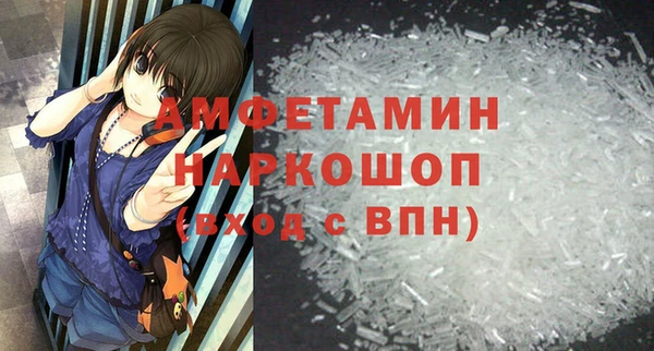 хмурый Арсеньев