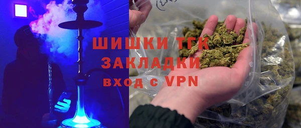 PSILOCYBIN Аркадак