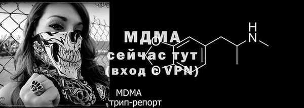 хмурый Арсеньев