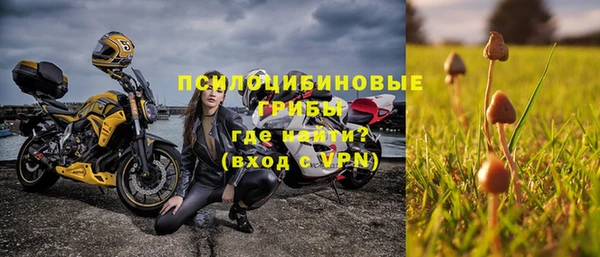 PSILOCYBIN Аркадак