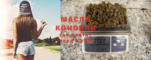 хмурый Арсеньев