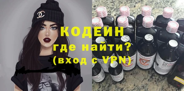 хмурый Арсеньев