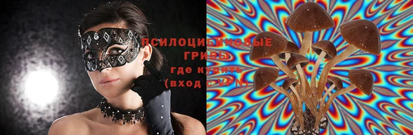 PSILOCYBIN Аркадак