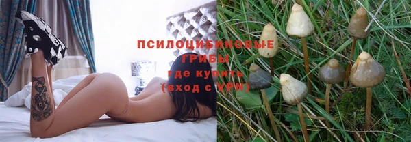 хмурый Арсеньев