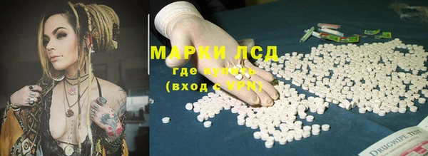PSILOCYBIN Аркадак