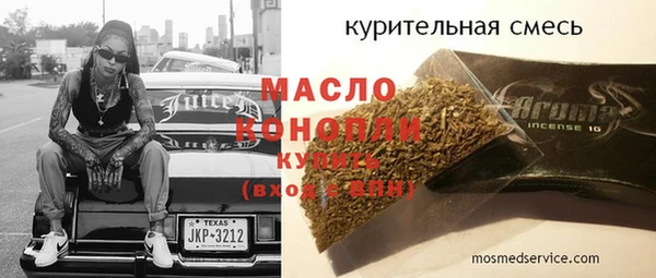 хмурый Арсеньев