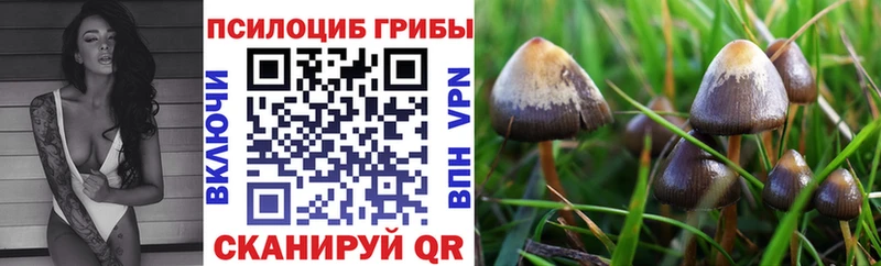 Галлюциногенные грибы Magic Shrooms  Купить где  Иваново 