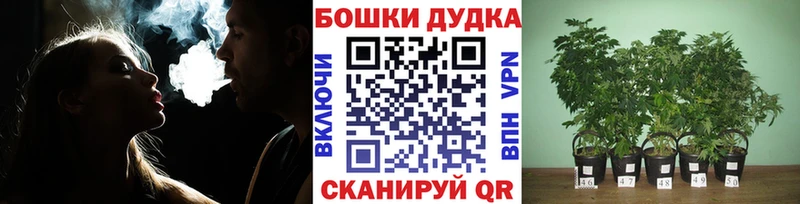 Купить где  Иваново  Канабис AK-47 